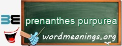 WordMeaning blackboard for prenanthes purpurea